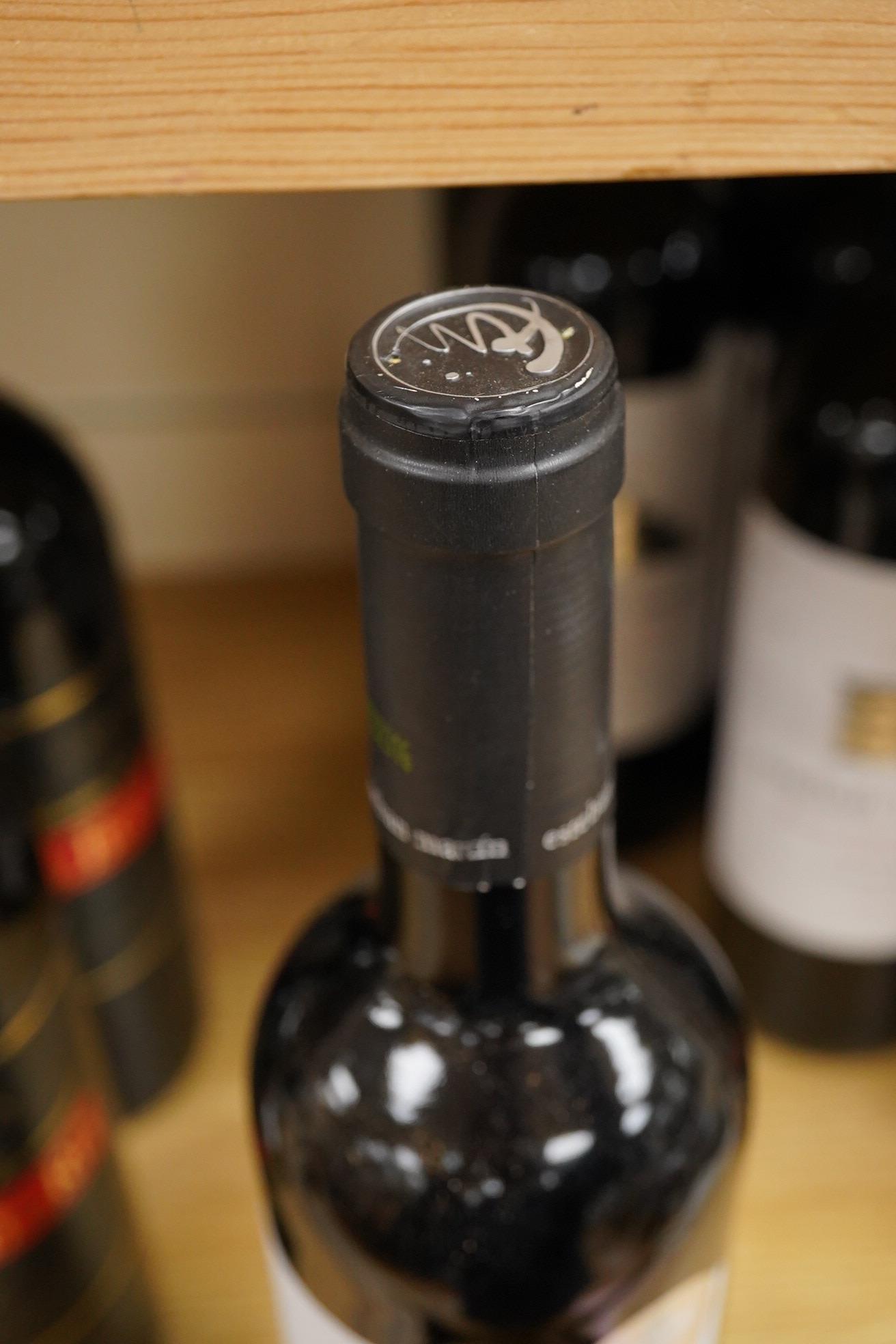 Twelve assorted Spanish wines including five Esteban Martin Carinena, 2020 and three El Bromberg, Carinena, 2002.